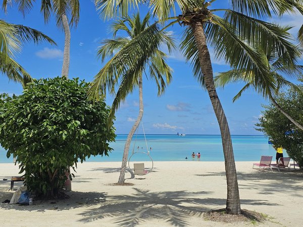 Où observer les pumas en liberté dans le parc national Torres del Paine, Chili?
