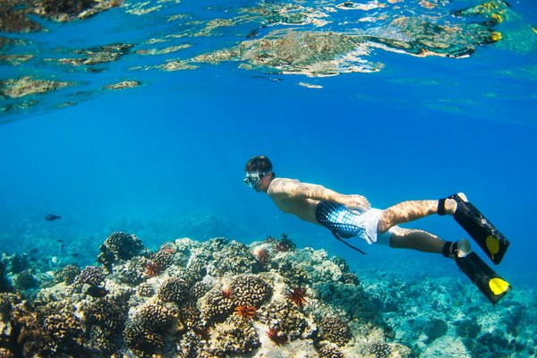 Quels sont les meilleurs spots pour le snorkelling dans les îles de la mer Égée, Grèce : conseils et périodes idéales ?