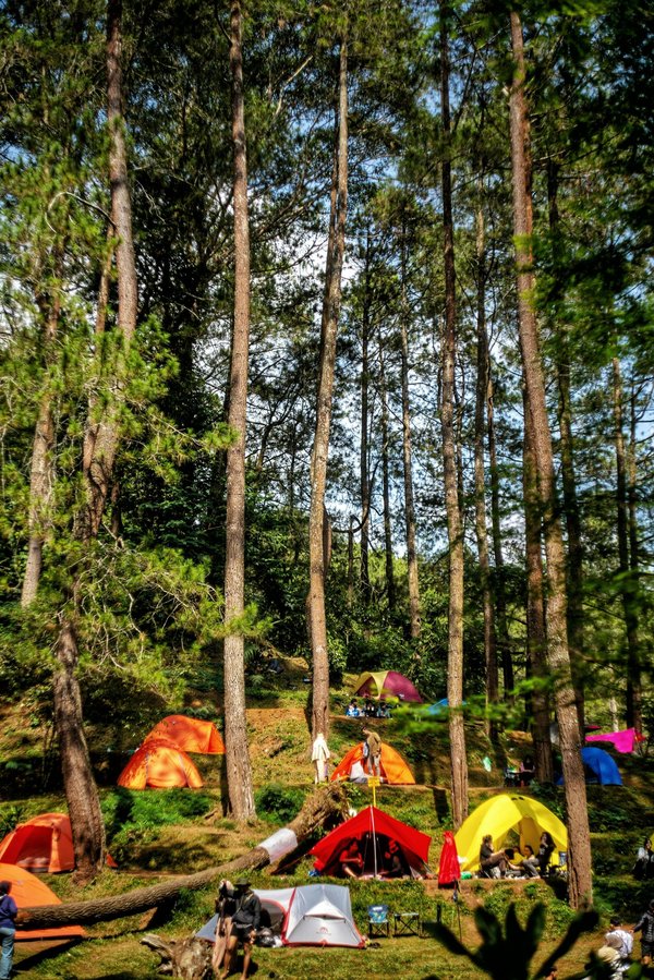 Évadez-vous au camping bretagne 5 étoiles à concarneau